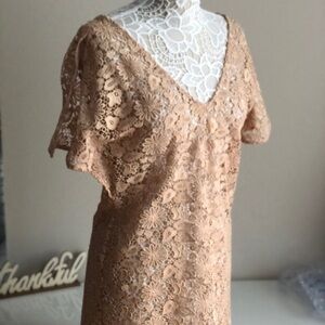 New! Zara Woman Embroidered Pink Dress